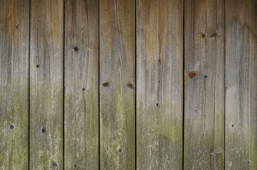 Fototapeta premium Old wooden background or texture