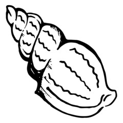 Sea shell monochrome vector isolated clip art