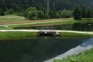 Obraz premium lago ponte cigno acqua montagna