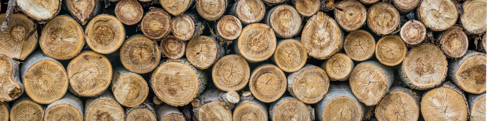 Brennholzpanorama 2 © Ralf Geithe