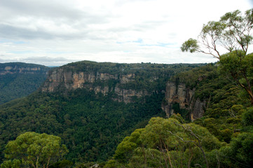 Fototapeta na wymiar The Three Sisters From Echo Point, Blue Mountains National Park, NSW, Australia. 