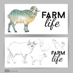 Farm animals. Watercolor vector illustration of sheep Flyer