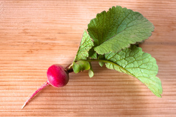 fresh clean radish on a wooden table