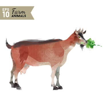Farm animals. Watercolor vector illustration of goat