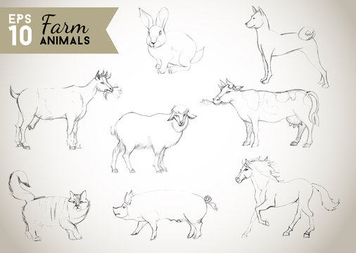 Farm animals. Watercolor vector illustration of  set sckech,sheep, cat,cow,horse, rabbit,dog,pig