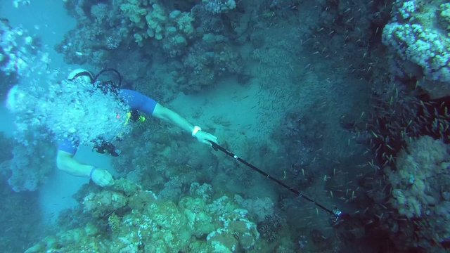 Top view of a scuba diver holding a selfie stick and filming the shoal of shining Glassy Sweepers Fish with GoPro near coral reef. Diver shooting on action camera school of glassfish