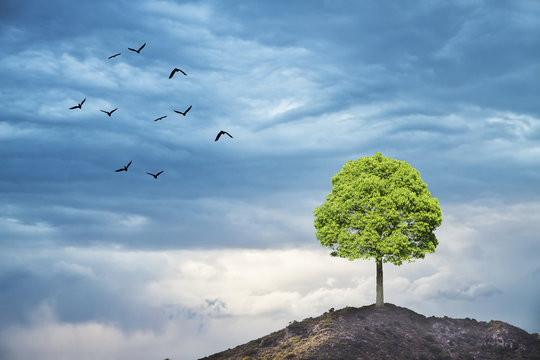 Naturaleza Y Medio Ambiente