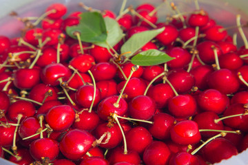 großer Eimer voller frischer, roter, reifer Kirschen