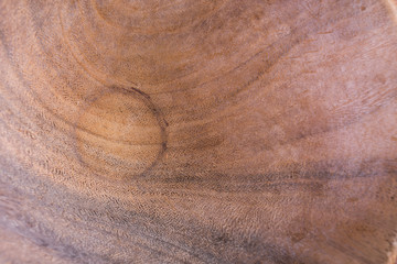 wood curve pattern texture background