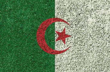 Algeria flag texture on green grass