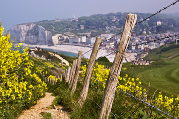 Fototapeta premium Etretat Normandy France