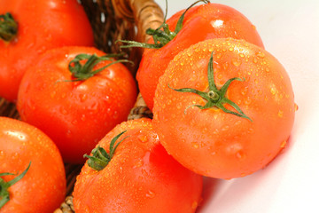 pomidory malinowe czerwone © npls