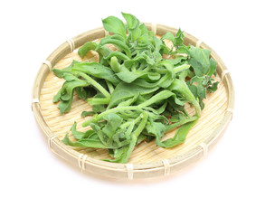 アイスプラント