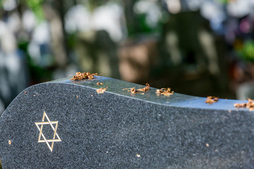 Jewish cemetery: Star of David on the tombstone