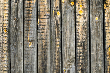 Old wooden background or texture