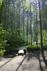 Rettenbachklamm Steiermark