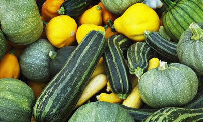 Kürbis