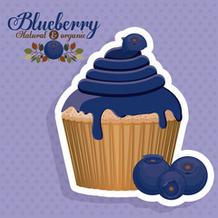 Blueberry design