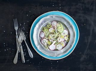 Spring salad with leek, radish and cucumber in vintage metal