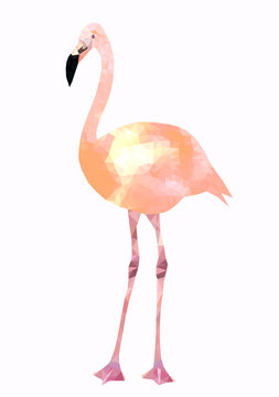 Natural pale pink flamingo bird low poly triangle vector image