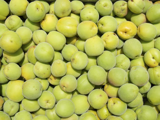 Japanese appricot (Ao i Ume)
青梅