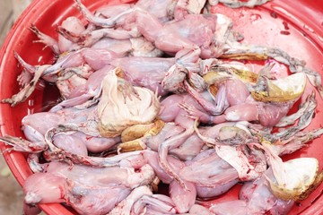 fresh frog meat in the market.