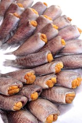 Fresh fish in the market