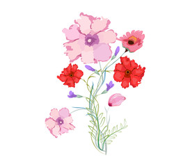 Original watercolor illustration with flowers