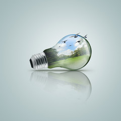 Electric light bulb with forest, Ecological concept
