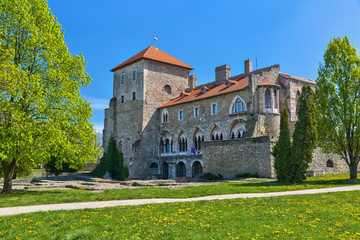Back view of the castle of Tata in Hungary.