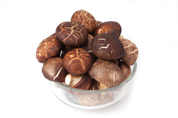 fresh shitake mushroom pile on white background