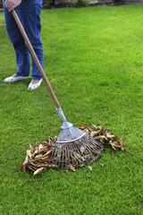 Gartenarbeit - Laub mit dem Rechen zusammenfegen