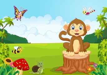 Happy monkey in the forest