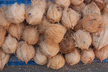 Fresh coconut on sale at the market.