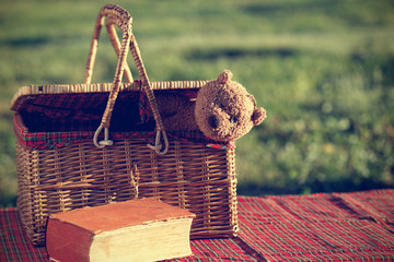 Picnic basket and book on the grass