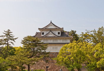 Fototapeta na wymiar Fushimi turret of Fukuyama Castle, Japan