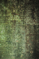 Obraz premium Green Wall Gunge