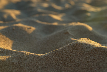 Песчанные дюны, Волга