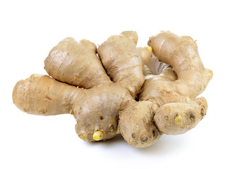 ginger on white background
