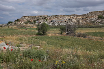 Fototapeta premium Paysage d'Andalousie , Espagne