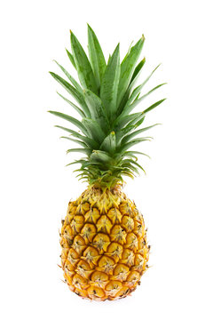 Fresh  pineapple