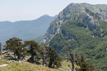 Obraz premium Parco Nazionale del Pollino