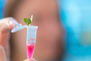 Research of growth of green plants