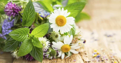 Papier peint photo autocollant rond Aromatique Healing Herbs