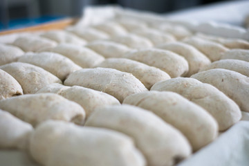 Raw Bread Dough at Local Bakery