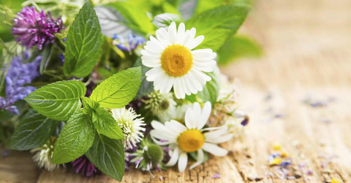 Healing Herbs
