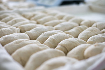 Freshly Made Bread Dough on A Tray
