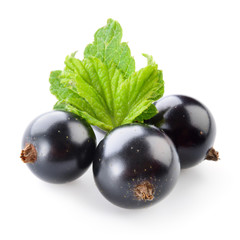 Black currant isolated on white.