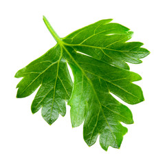 Parsley isolated on white background.