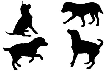 Vector silhouette of a dog.